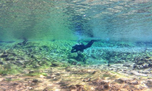 Zdjcie ISLANDIA / Thingvallavatn / Jezioro / Nurkowanie w lodowatym jeziorze