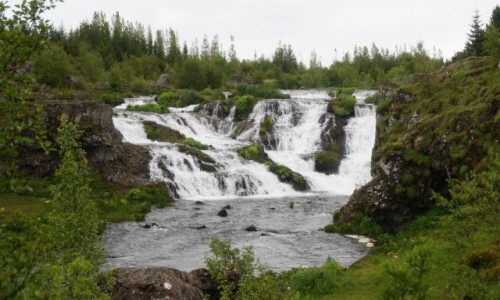 Zdjcie ISLANDIA / Reykjawik / Reykjawik / Park w Reykjawiku