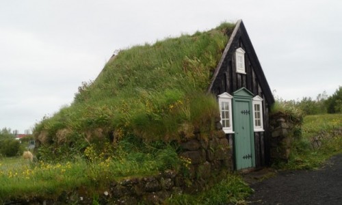 Zdjecie ISLANDIA / Reykjawik / Reykjawik / Domek pod muraw