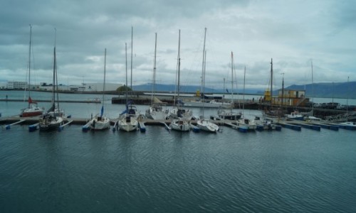 Zdjcie ISLANDIA / Reykjawik / Reykjawik / Port jachtowy