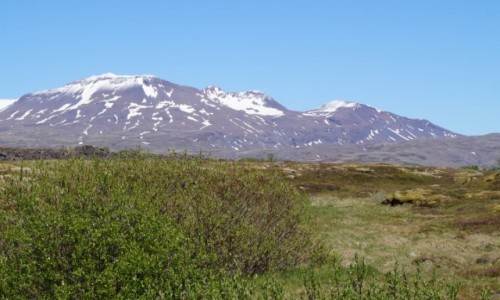 Zdjęcie ISLANDIA / Thingvellir / Thingvellir / Kontrast kolorów