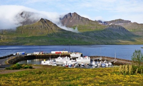 Zdjecie ISLANDIA / Islandia wschodnia / Stðvarfjrður / Islandia - kraina tysica planet