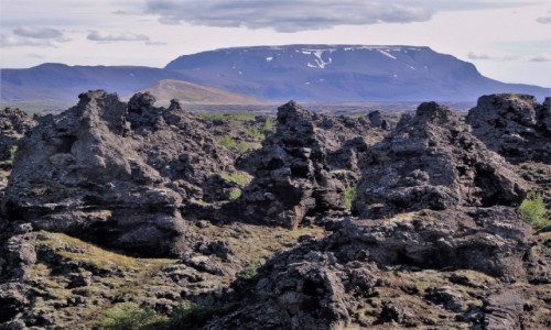 Zdj�cie ISLANDIA / P�nocno-wschodnia cz�� wyspy / Lawowy labirynt / Pola lawowe w okolicy M�vatn