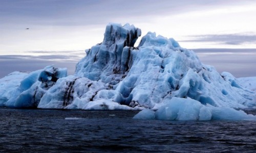 Zdjecie ISLANDIA / poudnie wyspy / Rejs po zatoce lodowcowej / Gry lodowe w Zatoce Jkulsrln