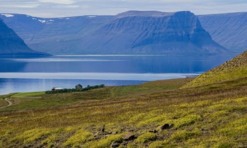 Zdjęcie ISLANDIA / Fjordy Zachodnie / okolice / W drodze do Latrabjarg