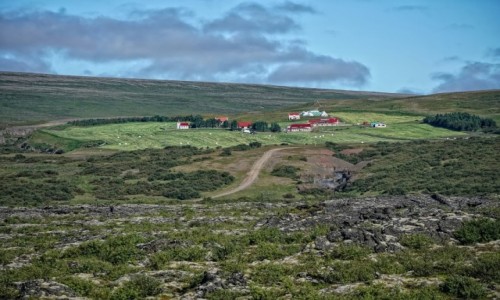 Zdjcie ISLANDIA / rodkowa Islandia / niedaleko drogi / Miasteczko?