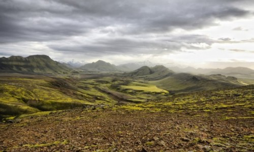Zdjecie ISLANDIA / rodkowa Islandia / interior / Interior latem....