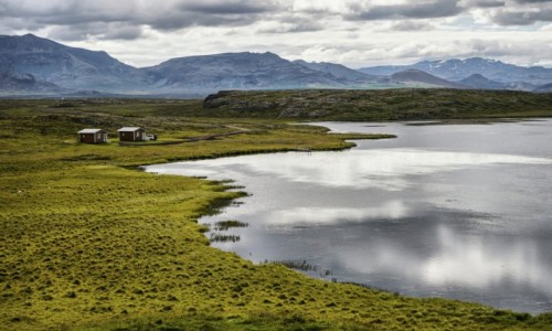 Zdjcie ISLANDIA / Fjordy Zachodnie / Fjordy Zachodnie / Islandzkie dacze