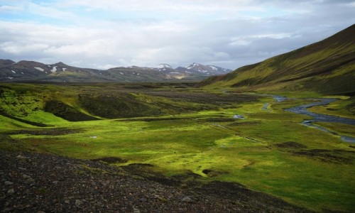 Zdjcie ISLANDIA / interior / interior / Zielono