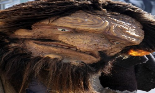 Zdjęcie ISLANDIA / rejon Husovik / Husovik / Mr Wyspy