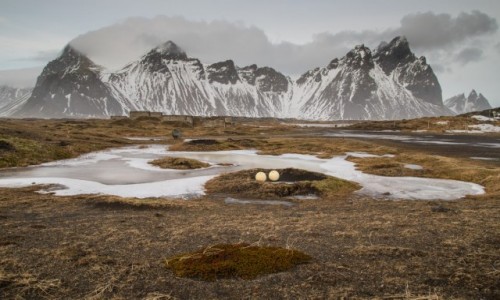 Zdjecie ISLANDIA / Islandia poudniowa / Vestrahorn / zimowa Islandia