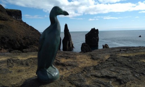 Zdjecie ISLANDIA / Reykjanes / Gardur / Alka dua