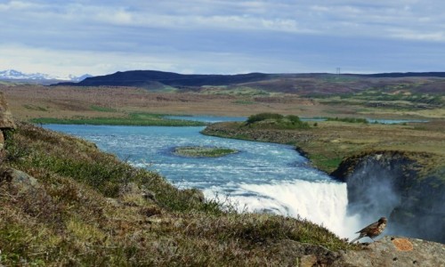 Zdjcie ISLANDIA / Kanyon na rzece Hvta / Gullfoss / Nad wodospadem