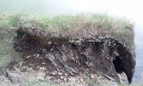 Zdjecie ISLANDIA / Mjifjrður / Dalatanga / Dalatanga