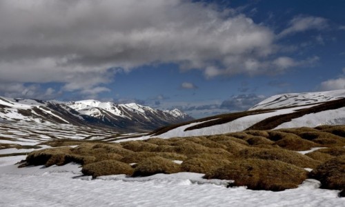 Zdjcie ISLANDIA / - / Islandia  / Islandia