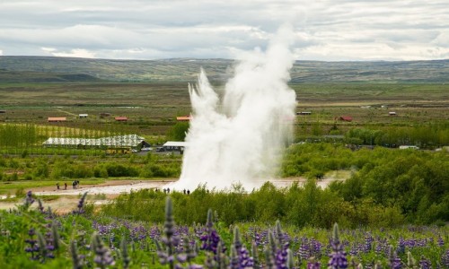 Zdjcie ISLANDIA / Okolice Reykjaviku / Pole termalne Geysir / Gejzer Strokkur