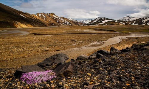 Zdjcie ISLANDIA / Poludnie wyspy / Park Narodowy Landmannalaugar / Tczowe gry