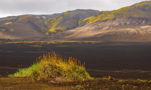 Zdjecie ISLANDIA / Poludnie wyspy / Okolice Reykjaviku / Krajobraz