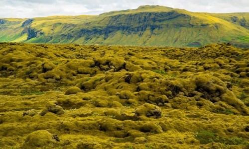 Zdjecie ISLANDIA / Poludnie wyspy / Okolice Reykjaviku / Krajobraz