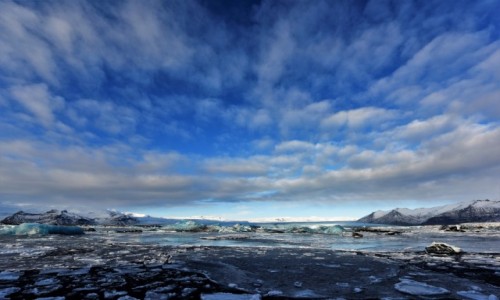 Zdjecie ISLANDIA / Poudnie / Jkulsrln Glacier Lagoon / Arktyczny bkit