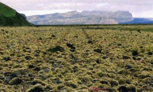 Zdjęcie ISLANDIA / brak / okolice Skaftafell / droga jednorazowego uzytku