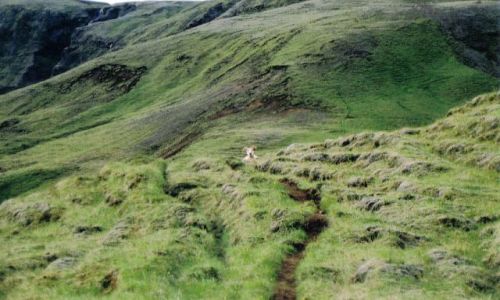 Zdjecie ISLANDIA / brak / horgsland / potwór z gór