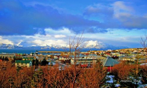 Zdjecie ISLANDIA / Polnocna Islandia / Husavik / Husavik