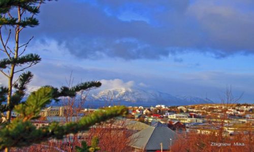Zdjecie ISLANDIA / Polnocna Islandia / Husavik / Husavik