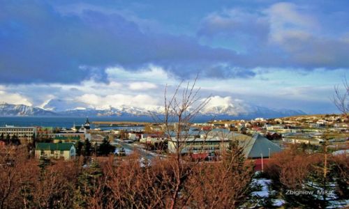 Zdjecie ISLANDIA / Polnocna Islandia / Husavik / Husavik