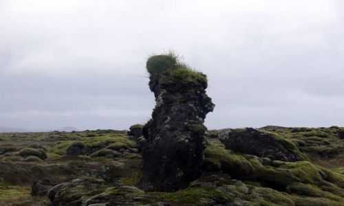 Zdjcie ISLANDIA / Poudniowa Islandia / Okolice Vik / Skamieniay Trol