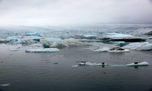 Zdjęcie ISLANDIA / Południowa Islandia / Jokulsarlon - Lodowa laguna / Lodowa laguna we mgle