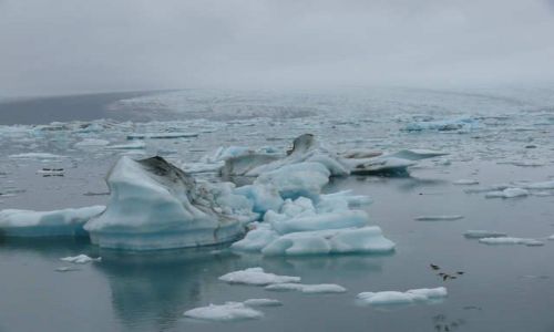 Zdjęcie ISLANDIA / Południowa Islandia / Jokulsarlon - Lodowa laguna / Laguna usłana lodem