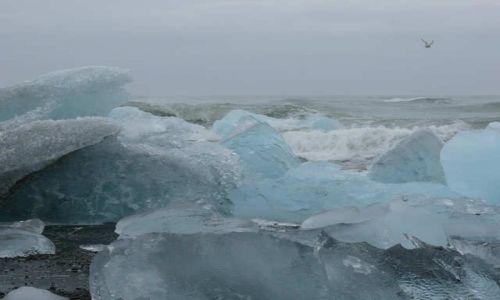 Zdjecie ISLANDIA / Poudniowa Islandia / Ujcie rzeki Jokulsa a Breidamerkursandi / Plaa nad oceanem 