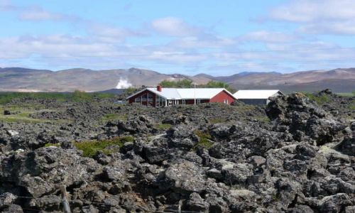 Zdjecie ISLANDIA / Pnocna Islandia / Okolice j. Myvatn / Pole lawy 