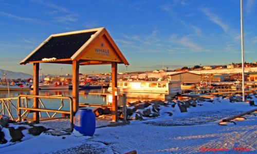 Zdjecie ISLANDIA / Polnocna Islandia / Husavik / Husavik zima