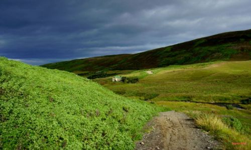 Zdjcie ISLANDIA / Polnocna Islandia / Husavik / Husavik