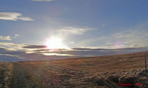 Zdjecie ISLANDIA / Polnocna Islandia / Husavik / Husavik