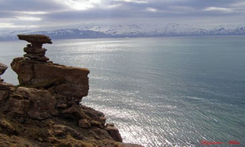 Zdjecie ISLANDIA / Polnocna Islandia / Husavik / Husavik