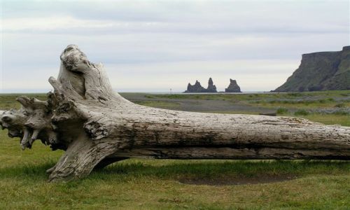 Zdjcie ISLANDIA / brak / VIK / Islandia - Vik
