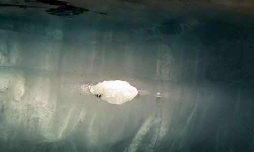 Zdjcie ISLANDIA / poludnie / zatoczka lodowa / lodowe foremki