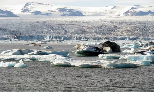 Zdjcie ISLANDIA / poludnie / zatoczka lodowa / lodowe foremki