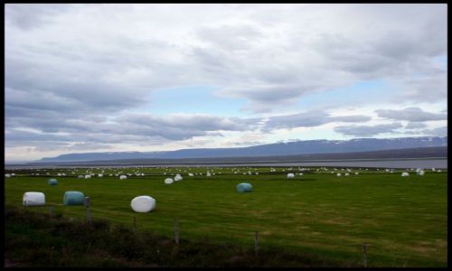 Zdjecie ISLANDIA / - / Glaumbær / Pnocna Islandia
