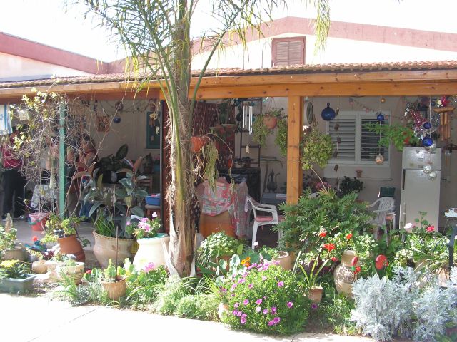 Zdjęcia: Hazor, Tel Aviv, Dom w kibucu Hazor, IZRAEL Zdjęcia: Hazor, Tel Aviv, Dom w kibucu Hazor, IZRAEL