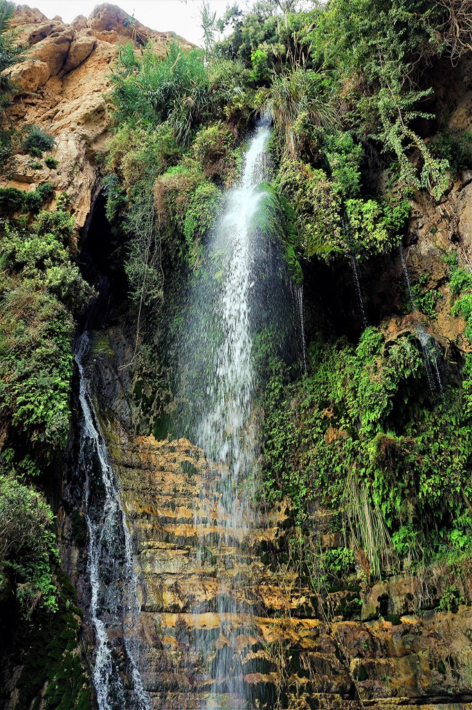 Zdjęcia: Ein Gedi, Morze Martwe, Wodospad Davida, IZRAEL Zdjęcia: Ein Gedi, Morze Martwe, Wodospad Davida, IZRAEL