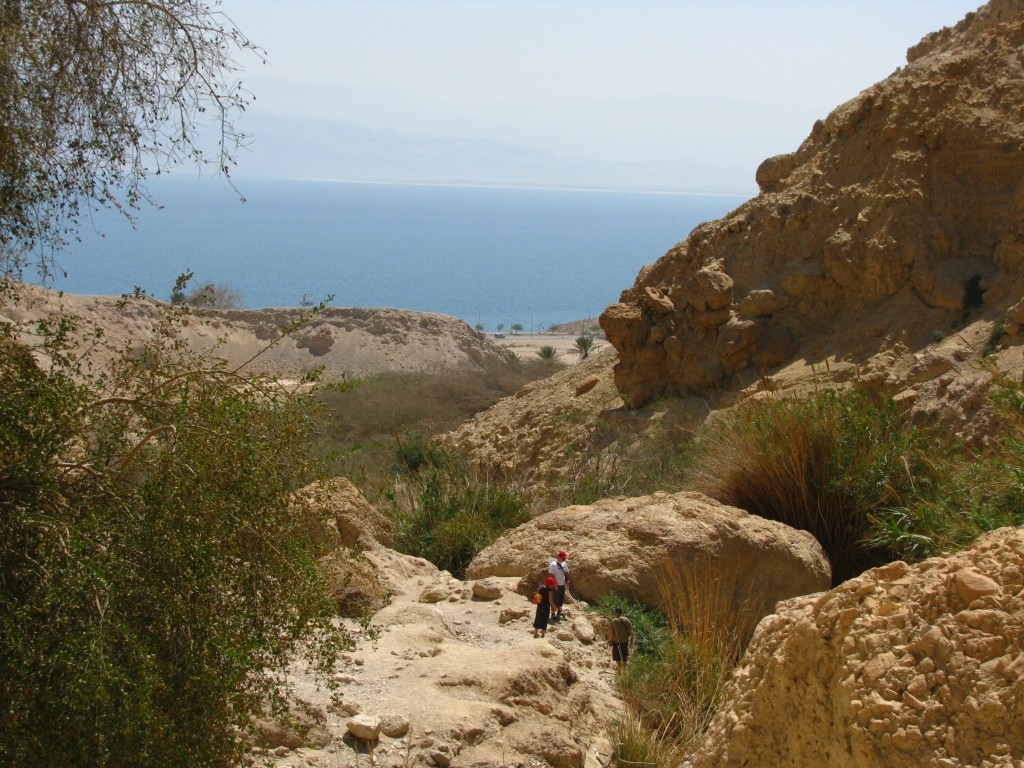 Zdjęcia: Pustynia Judzka, Pustynia Judzka, P.N. Ein Gedi, IZRAEL Zdjęcia: Pustynia Judzka, Pustynia Judzka, P.N. Ein Gedi, IZRAEL
