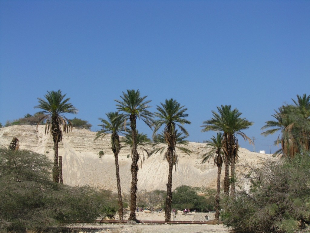 Zdjęcia: Pustynia Judzka, Pustynia Judzka, P.N. Ein Gedi, IZRAEL Zdjęcia: Pustynia Judzka, Pustynia Judzka, P.N. Ein Gedi, IZRAEL