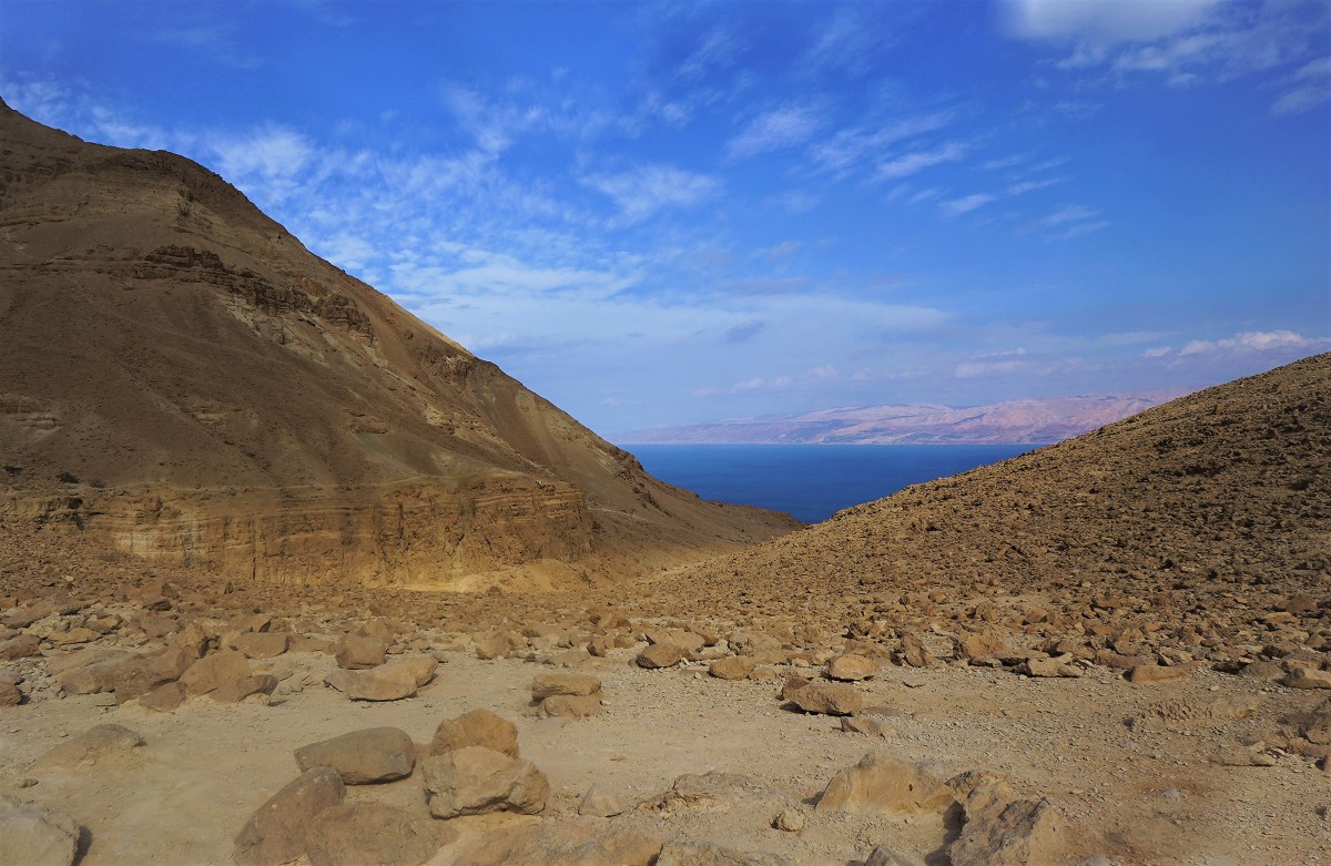 Zdjęcia: Ein Gedi, Morze Martwe, Cisza, IZRAEL Zdjęcia: Ein Gedi, Morze Martwe, Cisza, IZRAEL