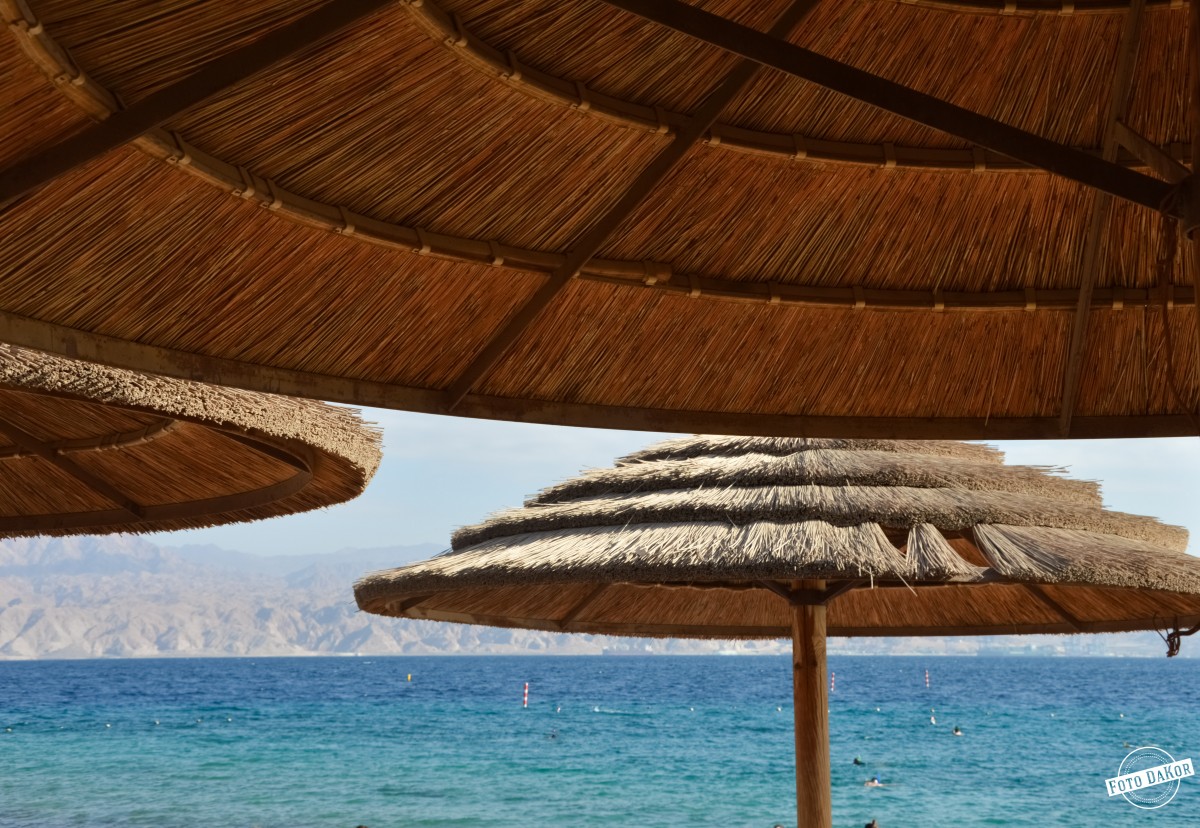 Zdjęcia: Eilat, Dystrykt Południowy, Pod Parasolami, IZRAEL Zdjęcia: Eilat, Dystrykt Południowy, Pod Parasolami, IZRAEL