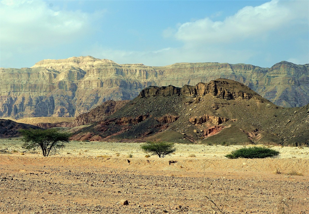 Zdjęcia: Timna Park, Eilat, Krzaczki, IZRAEL Zdjęcia: Timna Park, Eilat, Krzaczki, IZRAEL