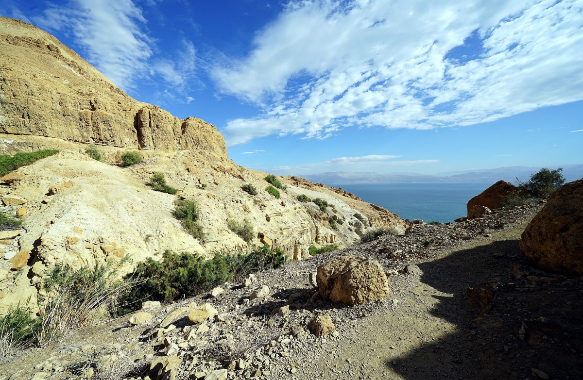 Zdjęcia: ., Ein Gedi Park, Widok na Morze Martwe, IZRAEL Zdjęcia: ., Ein Gedi Park, Widok na Morze Martwe, IZRAEL